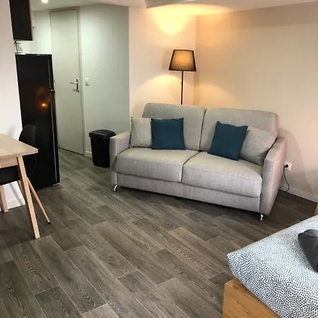 Jolis Au Coeur De Ferrand - Proche Jaude - Wifi Et Netflix Appartement *