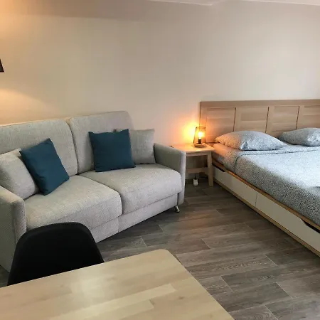 Jolis Au Coeur De Ferrand - Proche Jaude - Wifi Et Netflix Appartement