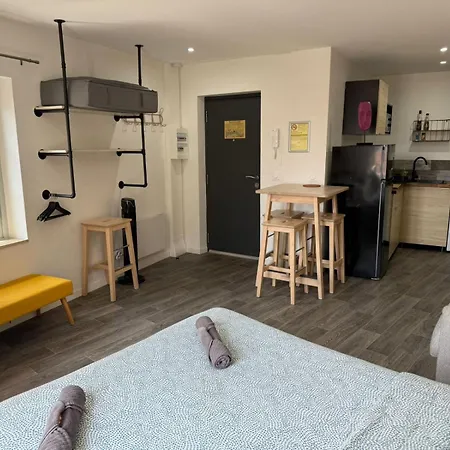 Jolis Au Coeur De Ferrand - Proche Jaude - Wifi Et Netflix Appartement *