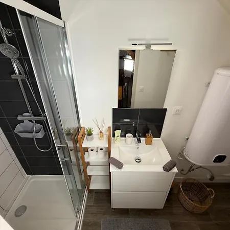 L'endormi - Hypercentre - 10min De Jaude A Pied * Clermont-Ferrand